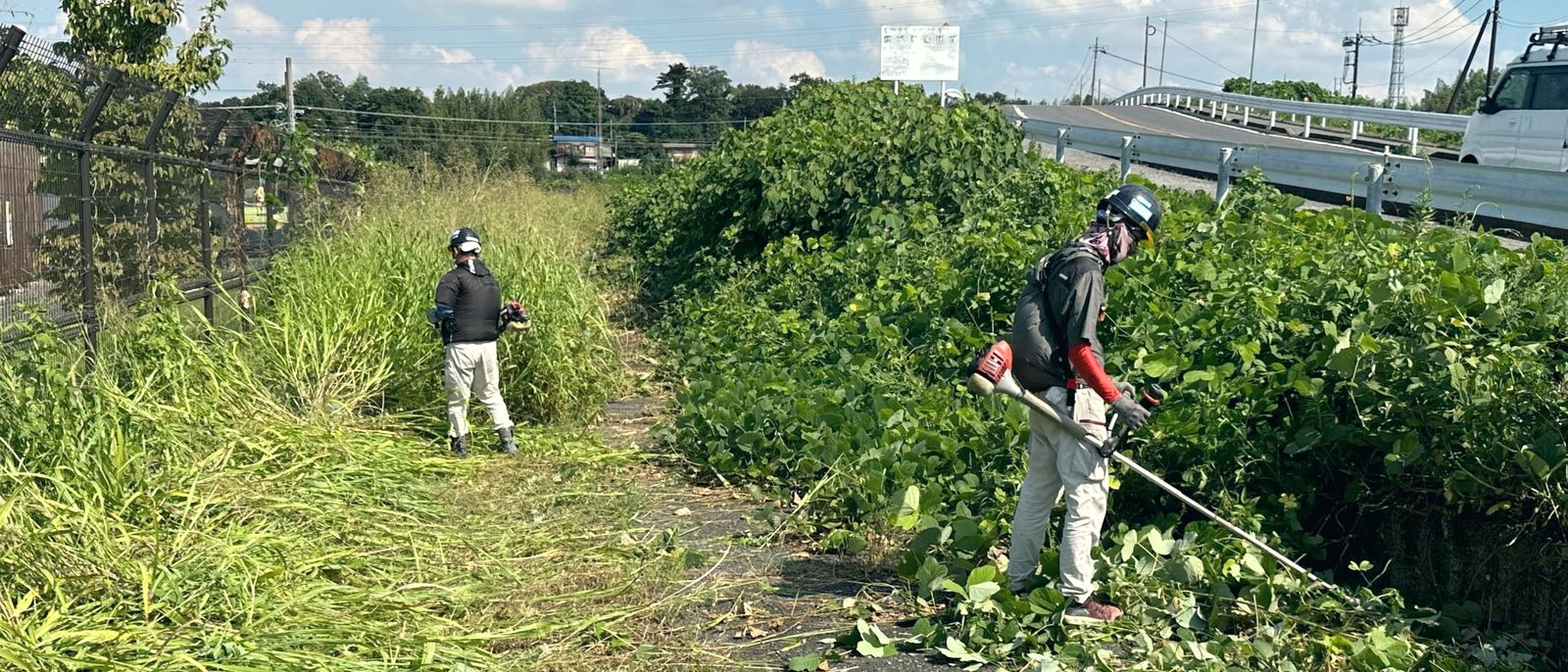 道路沿いの草むらで、刈払機を使って草刈りをする作業員2人